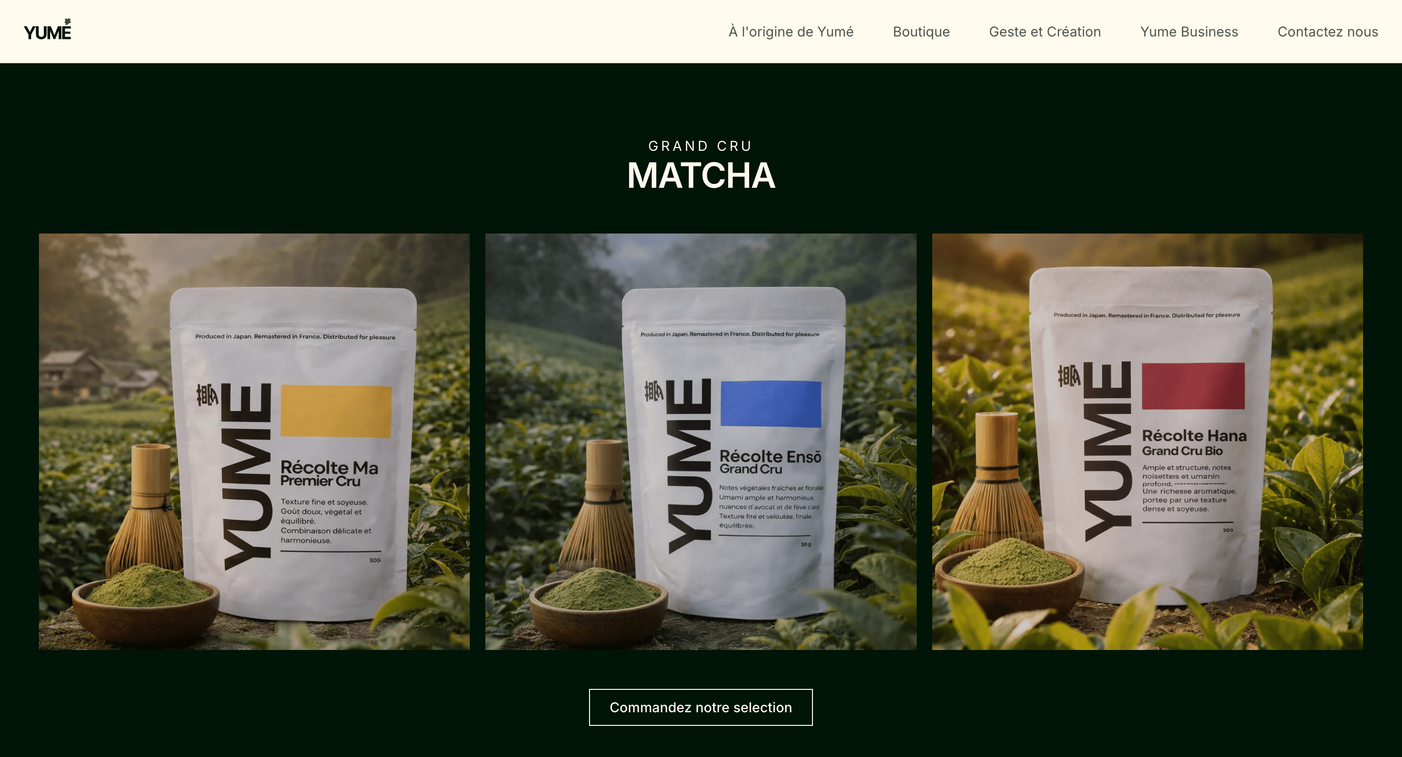 Yumé — Refonte SEO & migration Next.js